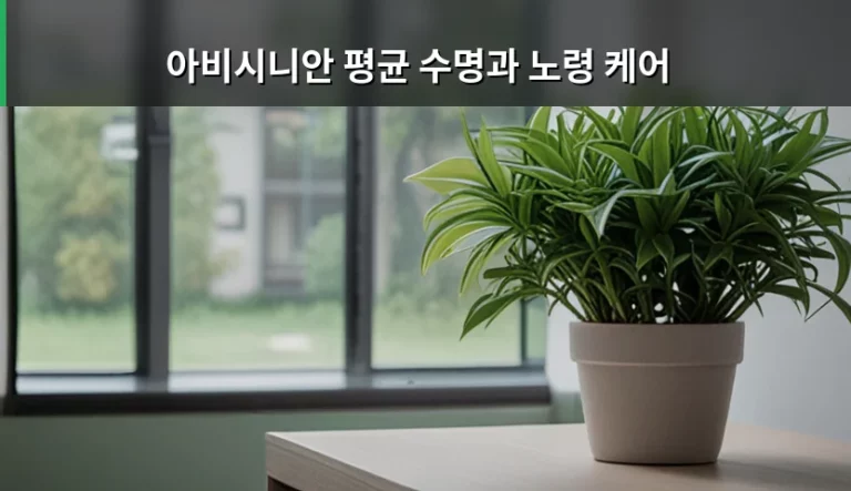 아비시니안 평균 수명과 노령 케어 관리 방법 가이드