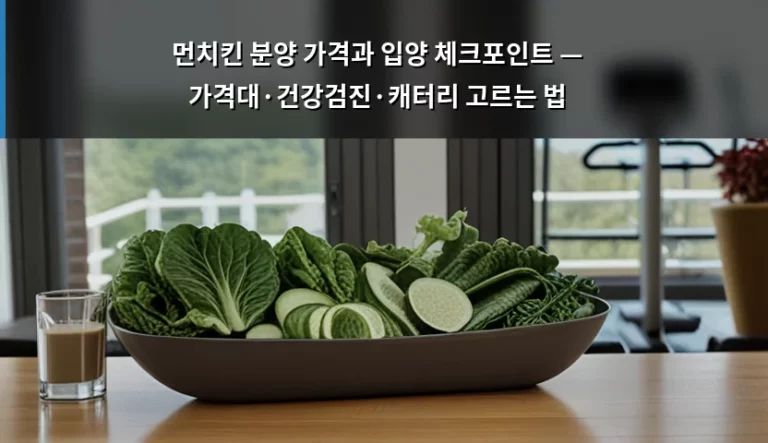 먼치킨 분양 가격과 입양 체크포인트 — 가격대·건강검진·캐터리 고르는 법