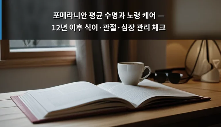 포메라니안 평균 수명과 노령 케어 — 12년 이후 식이·관절·심장 관리 체크