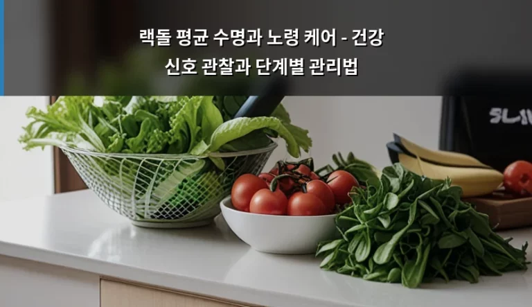 랙돌 평균 수명과 노령 케어 – 건강 신호 관찰과 단계별 관리법