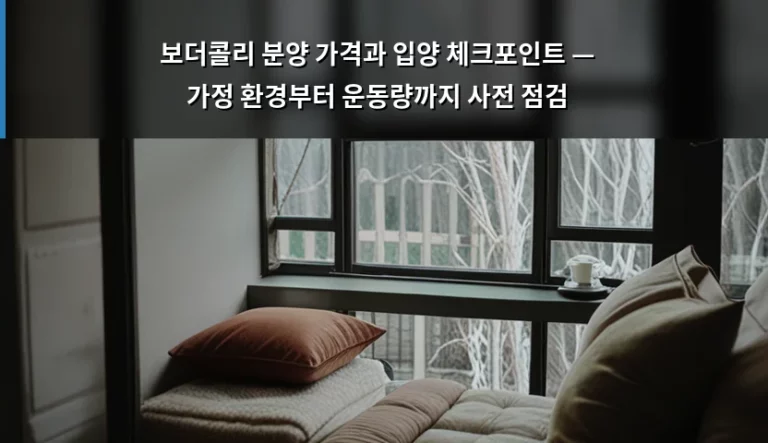 보더콜리 분양 가격과 입양 체크포인트 — 가정 환경부터 운동량까지 사전 점검