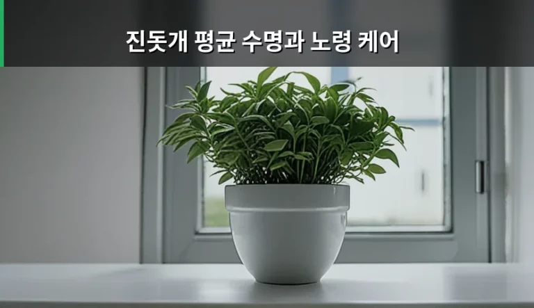 진돗개 평균 수명과 노령 케어 방법 및 건강 관리 가이드