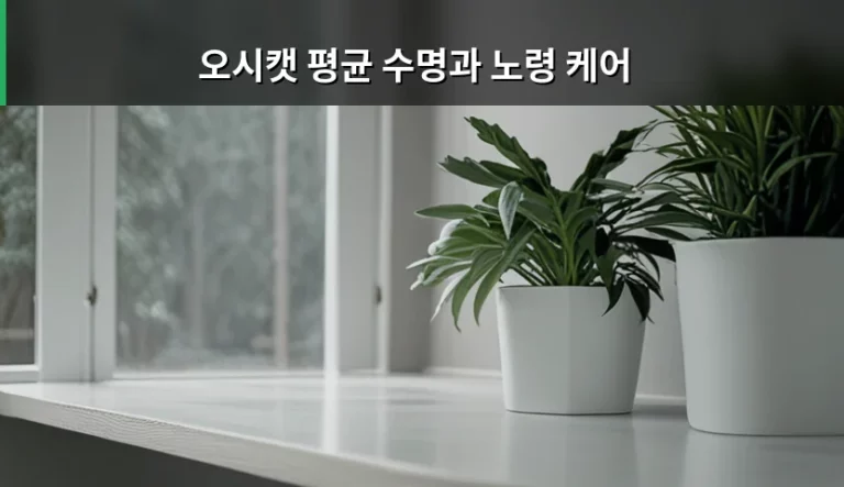 오시캣 평균 수명과 노령 케어 핵심 가이드