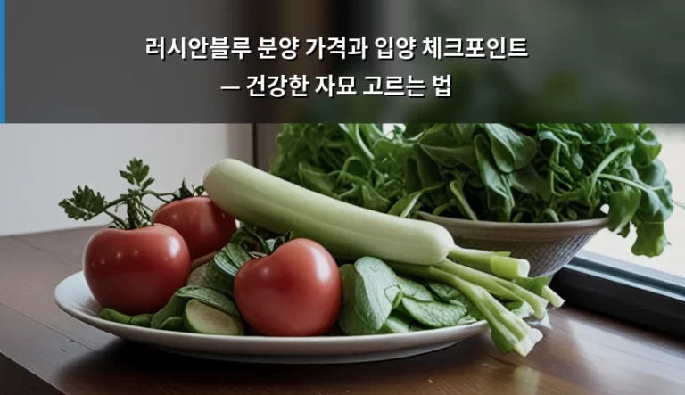 러시안블루 분양 가격과 입양 체크포인트 — 건강한 자묘 고르는 법
