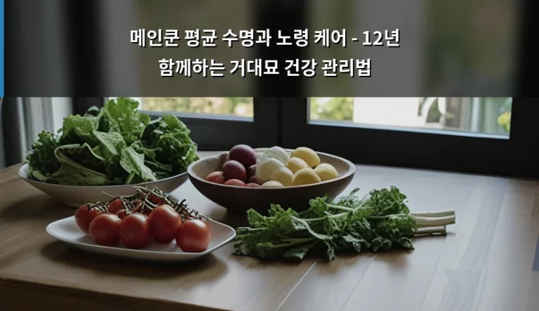 메인쿤 평균 수명과 노령 케어 – 12년 함께하는 거대묘 건강 관리법