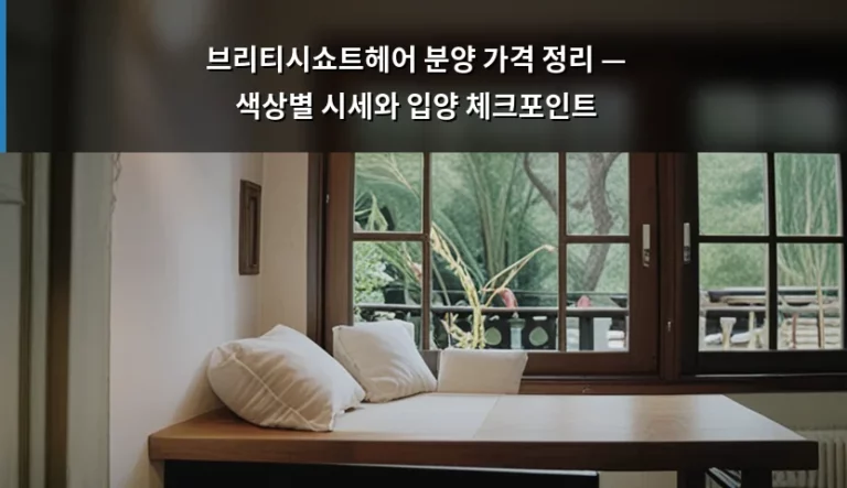 브리티시쇼트헤어 분양 가격 정리 — 색상별 시세와 입양 체크포인트