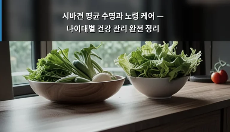 시바견 평균 수명과 노령 케어 — 나이대별 건강 관리 완전 정리