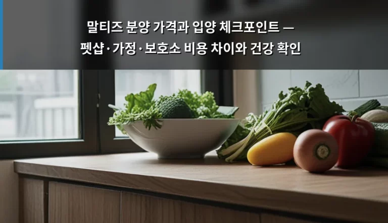 말티즈 분양 가격과 입양 체크포인트 — 펫샵·가정·보호소 비용 차이와 건강 확인