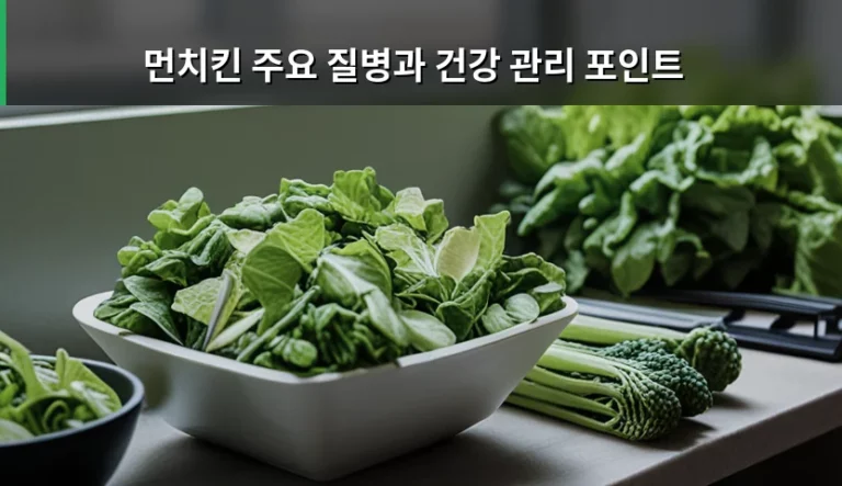 먼치킨 주요 질병과 건강 관리 포인트 및 필수 체크리스트