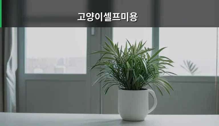 고양이셀프미용 준비물과 안전한 방법 가이드