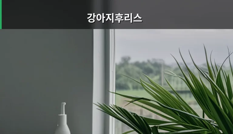 강아지후리스 선택 기준과 올바른 착용 방법