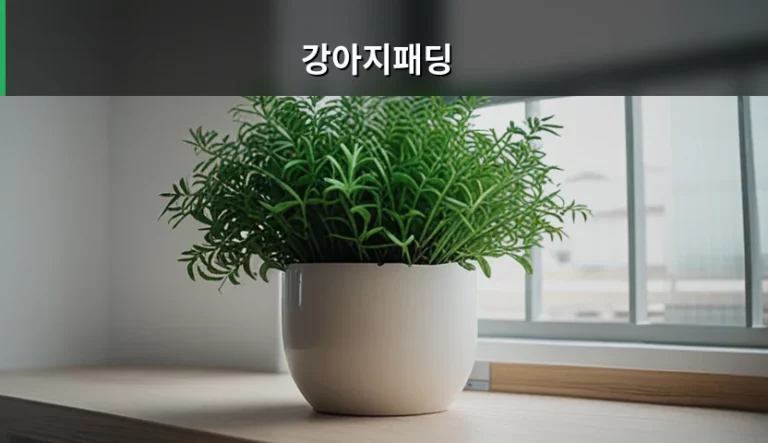 겨울철 강아지패딩 선택 기준과 건강 관리 가이드