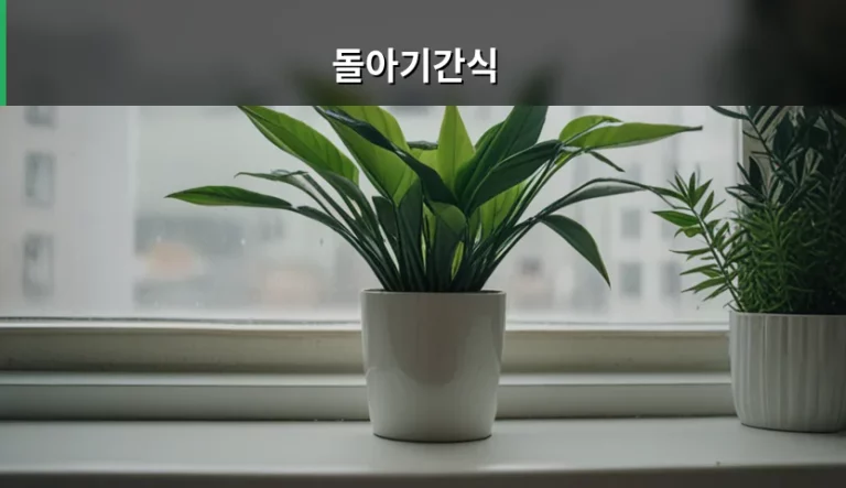 돌아기간식 시기와 단계별 식단 가이드