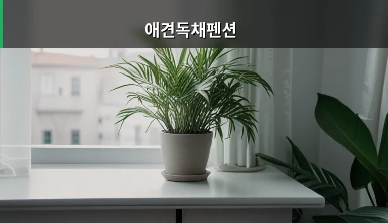 반려견 정서 안정과 애견독채펜션 선택 가이드