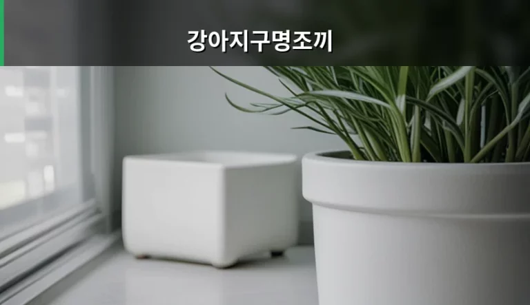 강아지구명조끼 선택 기준과 안전한 물놀이 가이드