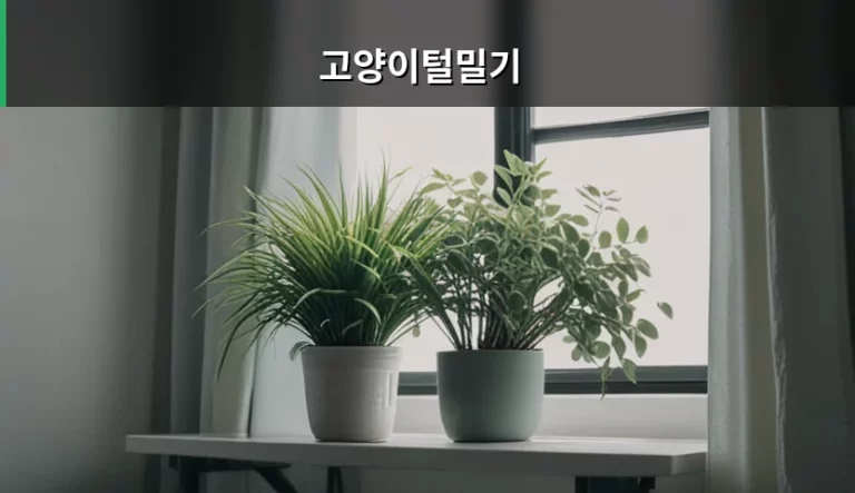 고양이털밀기 원인과 과도한 그루밍 관리 방법