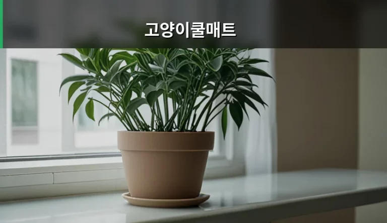 고양이쿨매트 선택 기준과 여름철 체온 관리 방법