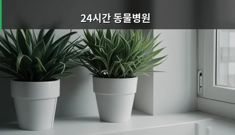 24시간 동물병원 선택 기준과 응급 상황 대처법