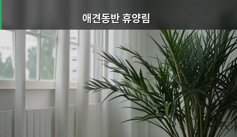반려견과 함께하는 애견동반 휴양림 이용 가이드