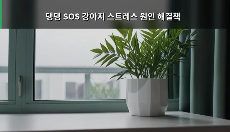 반려견의 심리 상태를 위한 댕댕 SOS 강아지 스트레스 원인 해결책