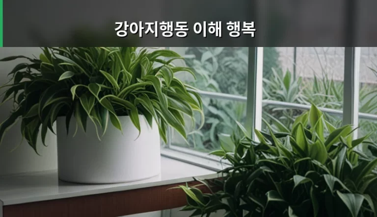 반려견의 마음을 읽는 강아지행동 이해 행복 지침서