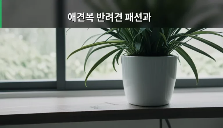 반려견 건강을 지키는 애견복 선택과 관리 방법