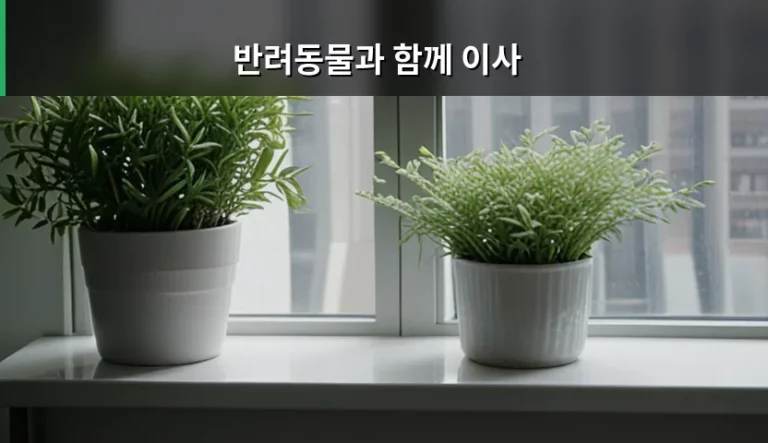 반려동물과 함께 이사할 때 주의사항과 건강 관리 가이드