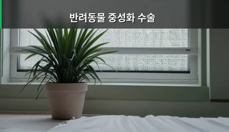 반려동물 중성화 수술 시기와 비용 및 주의사항 가이드