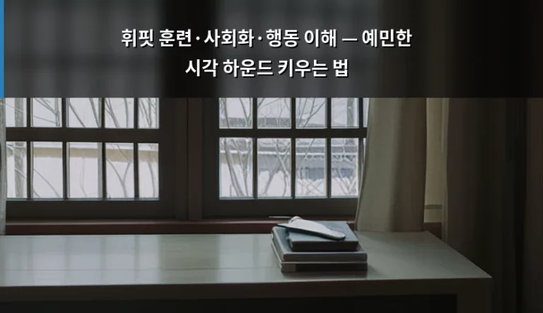 휘핏 훈련·사회화·행동 이해 — 예민한 시각 하운드 키우는 법