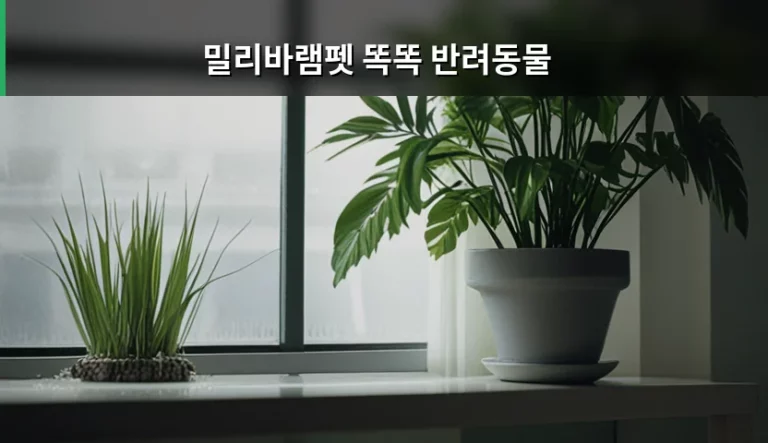 밀리바램펫 똑똑 반려동물 스마트 건강 관리 솔루션 활용법