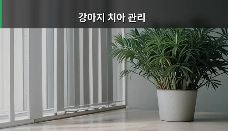 강아지 치아 관리 방법과 구강 질환 예방 가이드