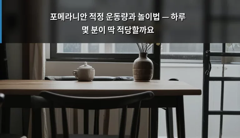 포메라니안 적정 운동량과 놀이법 — 하루 몇 분이 딱 적당할까요