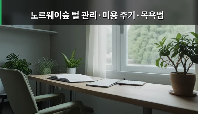 노르웨이숲 털 관리·미용 주기·목욕법 및 털 빠짐 대처법