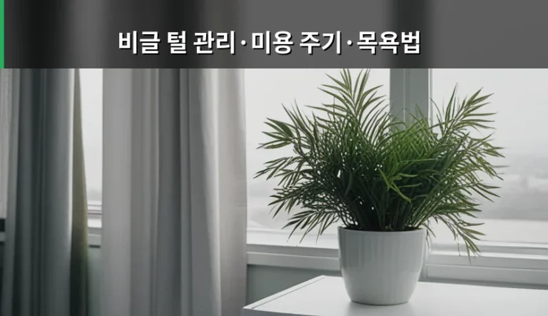 비글 털 관리 미용 주기와 올바른 목욕법 가이드