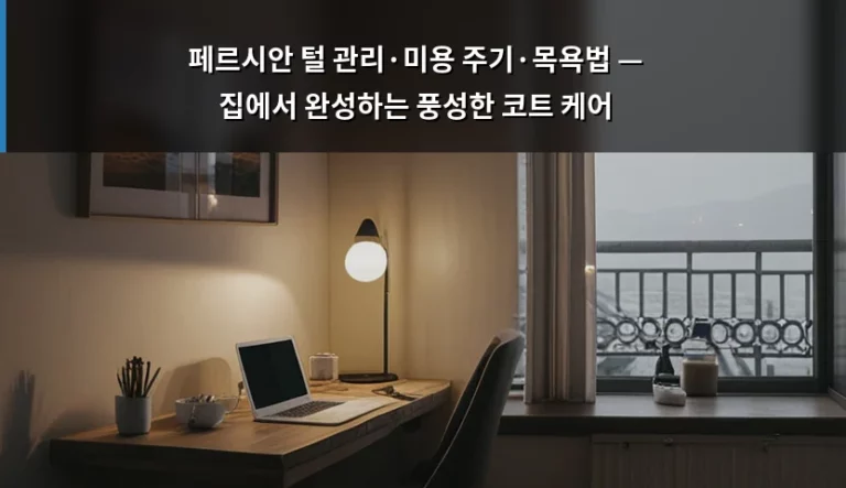 페르시안 털 관리·미용 주기·목욕법 — 집에서 완성하는 풍성한 코트 케어