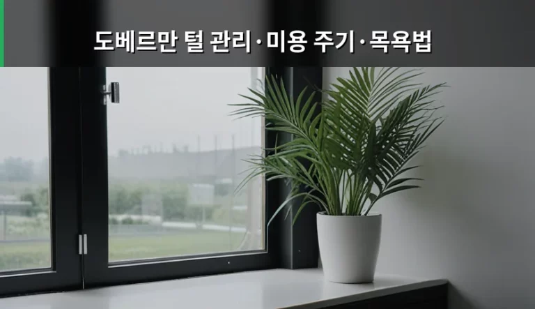 도베르만 털 관리와 미용 주기 및 올바른 목욕법 가이드