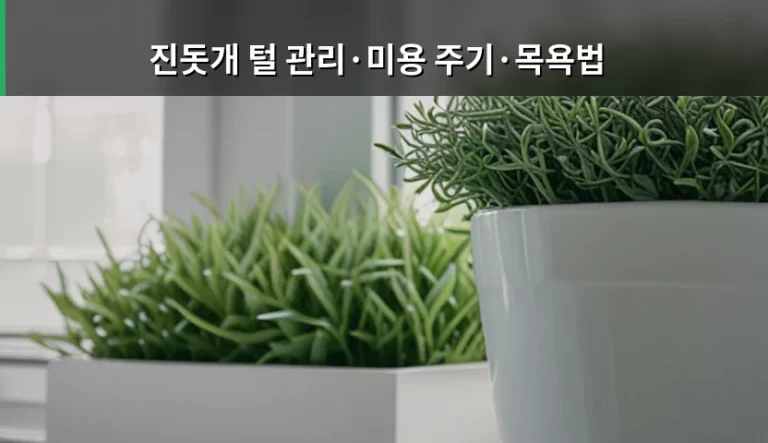 진돗개 털 관리·미용 주기·목욕법 완벽 가이드