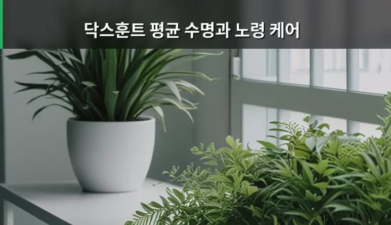 닥스훈트 평균 수명과 노령 케어 핵심 가이드