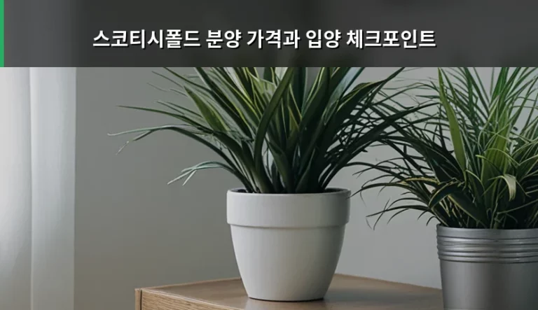 스코티시폴드 분양 가격과 입양 체크포인트 가이드
