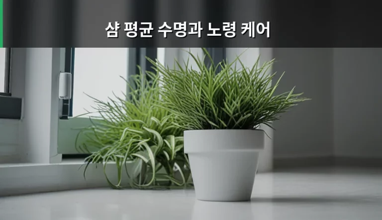 샴 평균 수명과 노령 케어 관리 방법 가이드