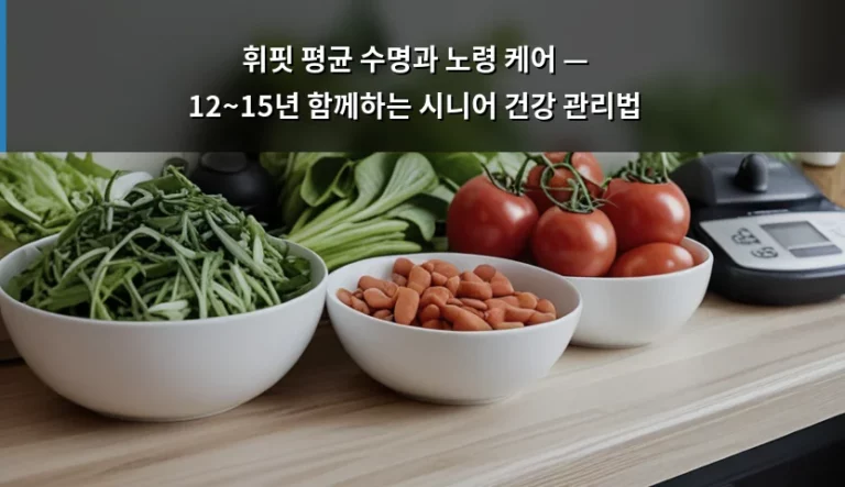 휘핏 평균 수명과 노령 케어 — 12~15년 함께하는 시니어 건강 관리법