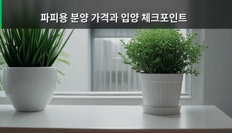 파피용 분양 가격과 입양 체크포인트 및 주의사항 가이드