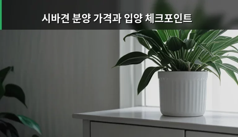 시바견 분양 가격과 입양 체크포인트 상세 가이드