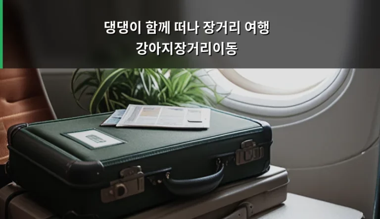 댕댕이 함께 떠나 장거리 여행 강아지장거리이동 건강 관리법