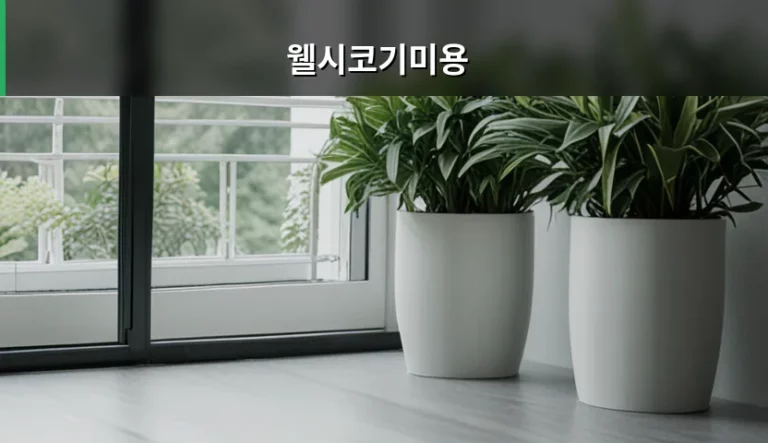웰시코기미용 주기와 이중모 관리 방법 가이드