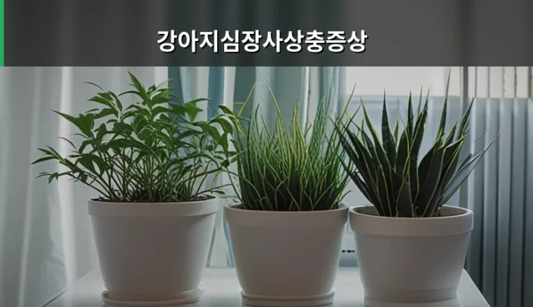 강아지심장사상충증상 초기 신호와 예방법 완벽 가이드