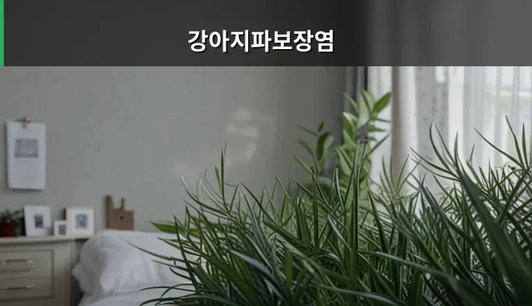 강아지파보장염 증상부터 백신 접종 및 치료 방법 정리