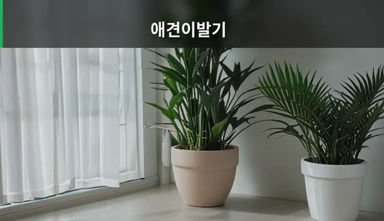 반려견 홈미용을 위한 애견이발기 선택 및 사용 가이드