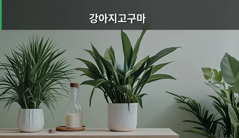 강아지고구마 선택 기준과 건강한 급여 방법