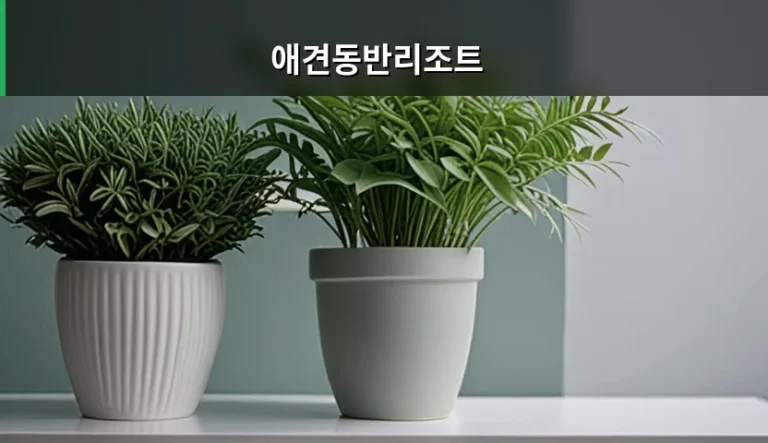 반려견과 함께하는 애견동반리조트 선택 및 건강 관리 가이드